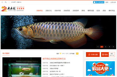 山西最大的龍魚(yú)水族中文門(mén)戶(hù)網(wǎng)站